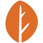 October CMS
